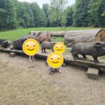Kinder in der Naturspielen